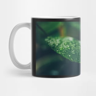 Rainy day drops Mug